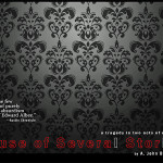 house of several stories poster