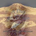 a day on venus poster 2