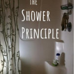 The Shower Principle