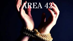 Area 42 by Weslie Capello