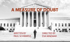 A MEASURE OF DOUBT by Paul Schwartz