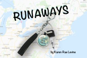 Runaways by Karen Rae Levine