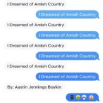I Dreamed of Amish Country